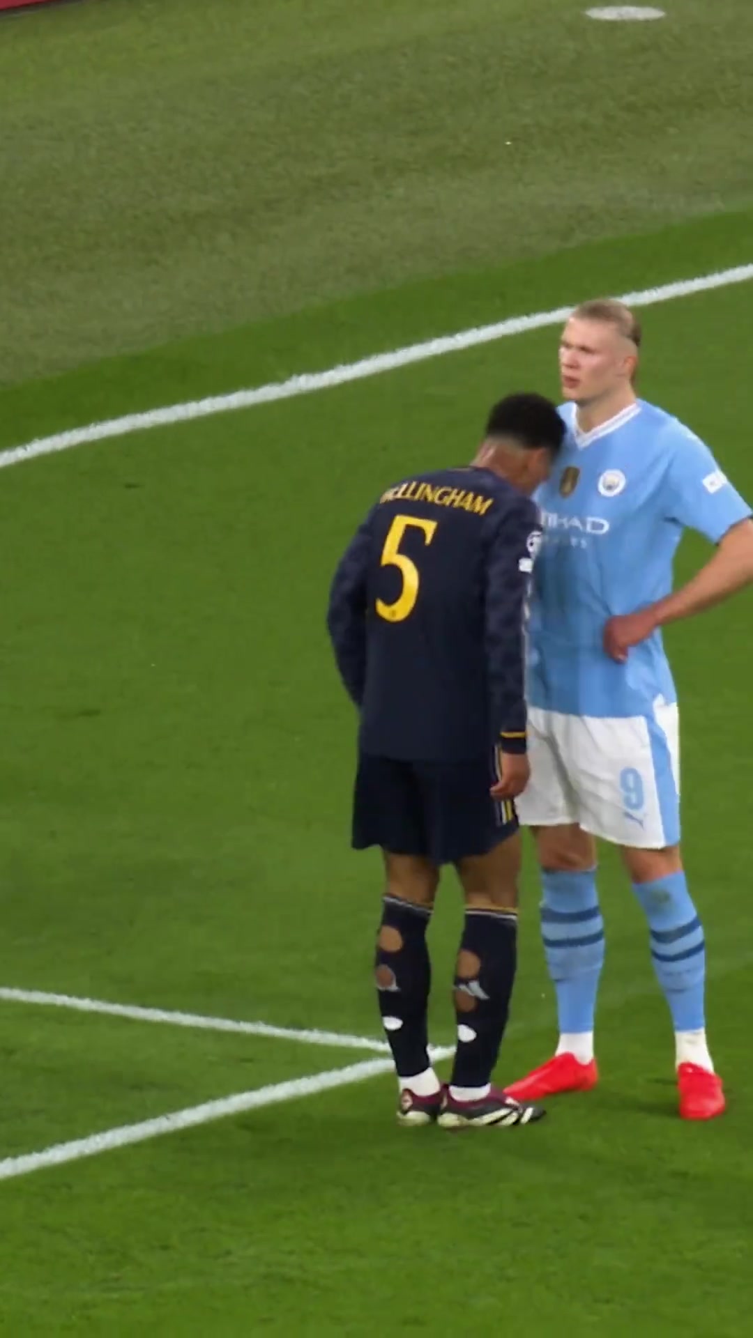 贝林哈兰德才是我心灵的港湾